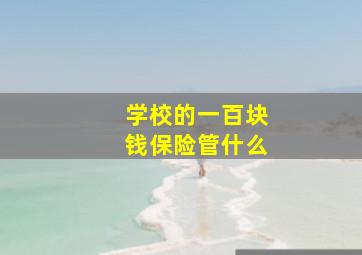 学校的一百块钱保险管什么