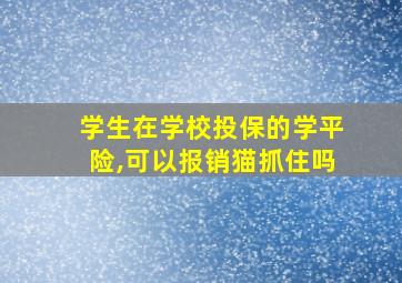 学生在学校投保的学平险,可以报销猫抓住吗