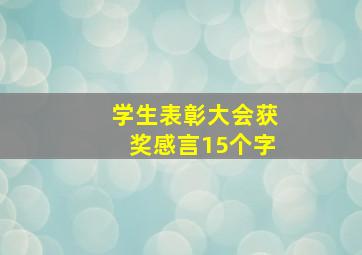 学生表彰大会获奖感言15个字