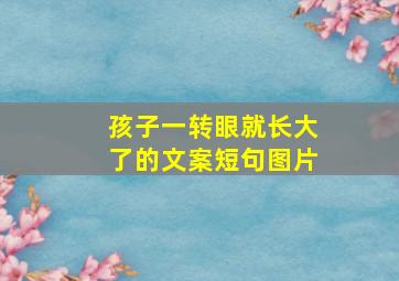 孩子一转眼就长大了的文案短句图片