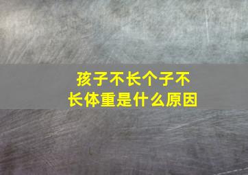 孩子不长个子不长体重是什么原因