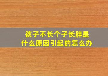 孩子不长个子长胖是什么原因引起的怎么办