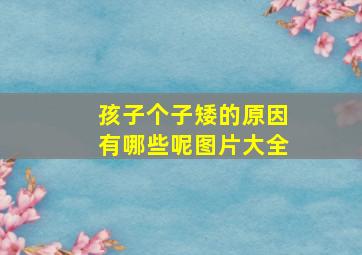 孩子个子矮的原因有哪些呢图片大全