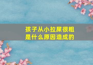 孩子从小拉屎很粗是什么原因造成的