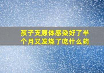 孩子支原体感染好了半个月又发烧了吃什么药