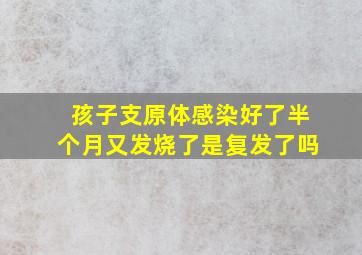 孩子支原体感染好了半个月又发烧了是复发了吗