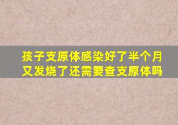 孩子支原体感染好了半个月又发烧了还需要查支原体吗