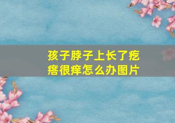 孩子脖子上长了疙瘩很痒怎么办图片