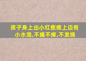 孩子身上出小红疙瘩上边有小水泡,不痛不痒,不发烧