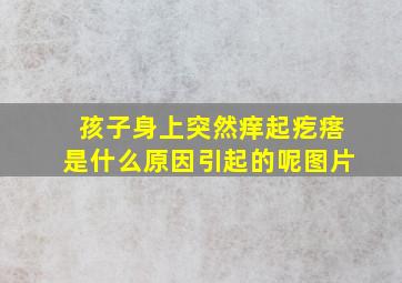 孩子身上突然痒起疙瘩是什么原因引起的呢图片