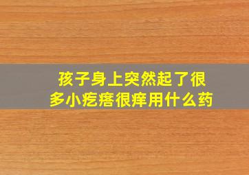 孩子身上突然起了很多小疙瘩很痒用什么药