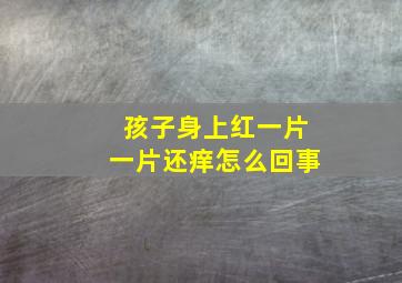 孩子身上红一片一片还痒怎么回事