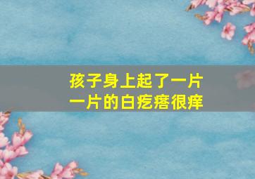 孩子身上起了一片一片的白疙瘩很痒