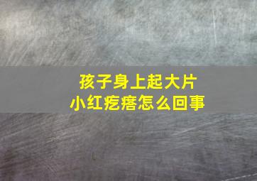 孩子身上起大片小红疙瘩怎么回事