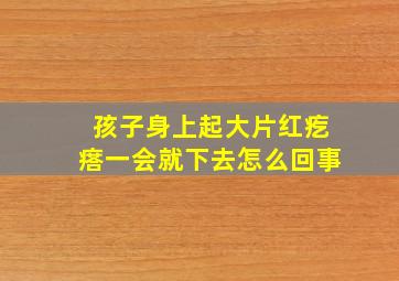 孩子身上起大片红疙瘩一会就下去怎么回事