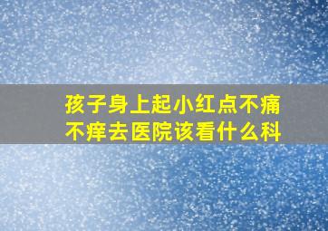 孩子身上起小红点不痛不痒去医院该看什么科