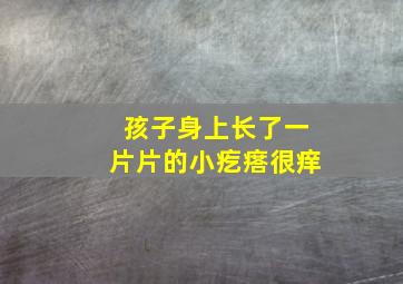 孩子身上长了一片片的小疙瘩很痒