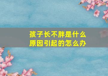 孩子长不胖是什么原因引起的怎么办