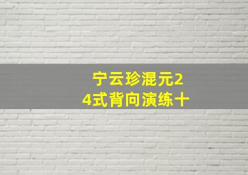 宁云珍混元24式背向演练十