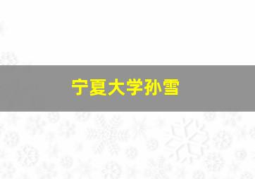 宁夏大学孙雪