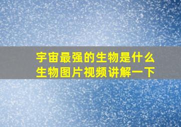 宇宙最强的生物是什么生物图片视频讲解一下