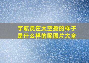 宇航员在太空舱的样子是什么样的呢图片大全