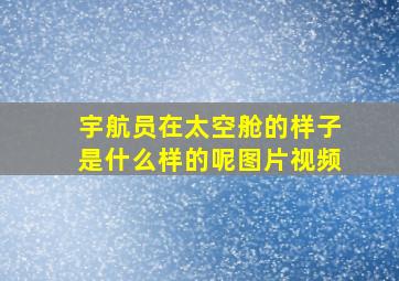 宇航员在太空舱的样子是什么样的呢图片视频