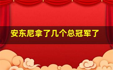 安东尼拿了几个总冠军了