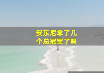 安东尼拿了几个总冠军了吗