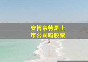 安博帝特是上市公司吗股票