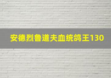 安德烈鲁道夫血统鸽王130