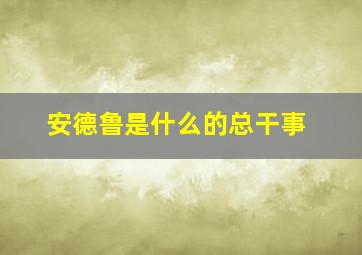 安德鲁是什么的总干事