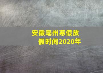 安徽亳州寒假放假时间2020年