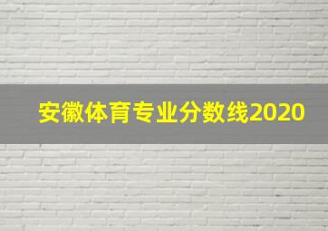 安徽体育专业分数线2020