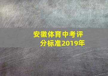 安徽体育中考评分标准2019年