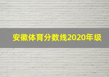 安徽体育分数线2020年级