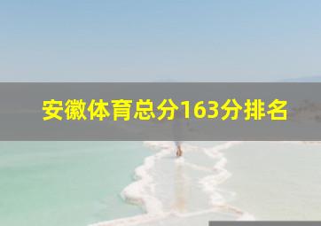 安徽体育总分163分排名