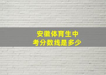 安徽体育生中考分数线是多少