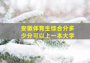 安徽体育生综合分多少分可以上一本大学