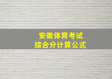 安徽体育考试综合分计算公式