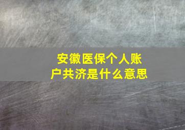 安徽医保个人账户共济是什么意思