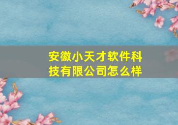 安徽小天才软件科技有限公司怎么样