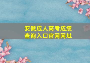 安徽成人高考成绩查询入口官网网址