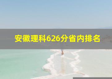 安徽理科626分省内排名