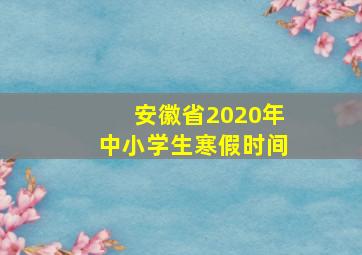 安徽省2020年中小学生寒假时间