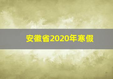 安徽省2020年寒假