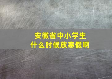 安徽省中小学生什么时候放寒假啊