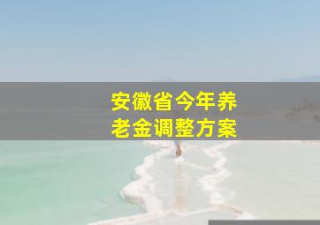 安徽省今年养老金调整方案