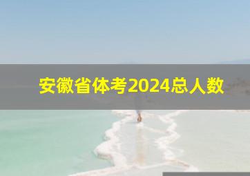 安徽省体考2024总人数