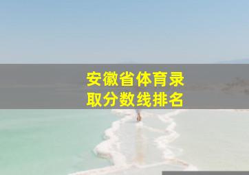 安徽省体育录取分数线排名